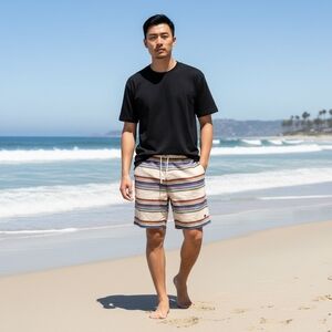 LRG Multicolor Striped Hybrid Shorts